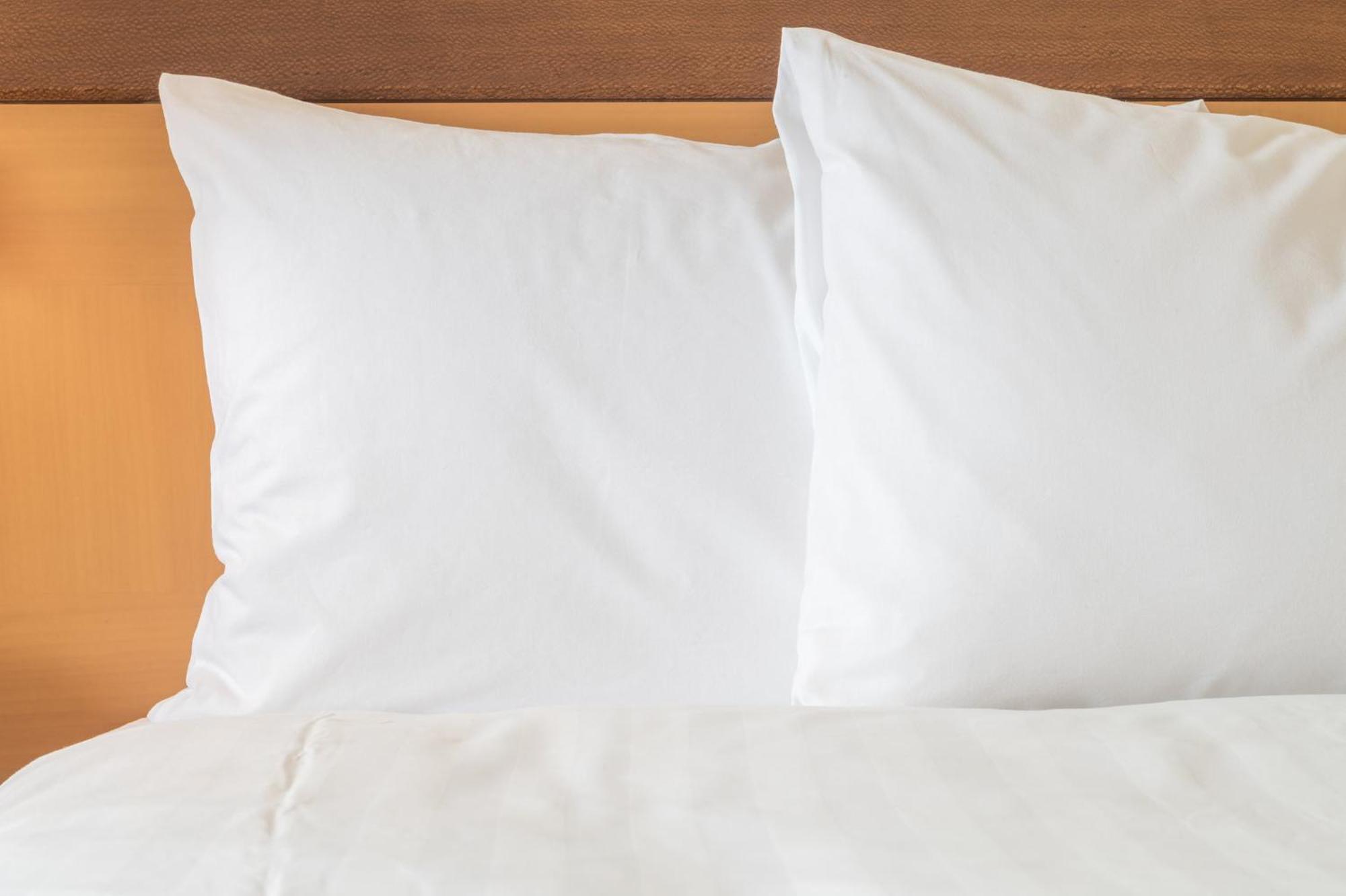 Holiday Inn Express Big Rapids By Ihg Eksteriør billede